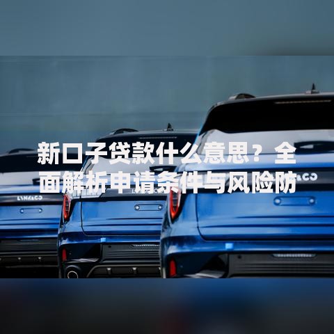 新口子贷款什么意思？全面解析申请条件与风险防范