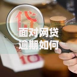面对网贷逾期如何妥善处理？5个步骤助你摆脱困境