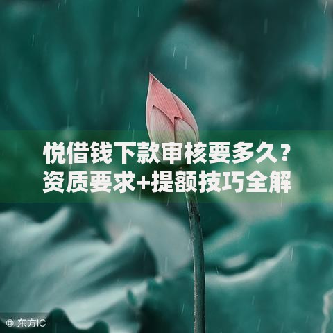 悦借钱下款审核要多久？资质要求+提额技巧全解析