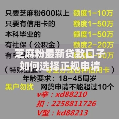 芝麻粉最新贷款口子如何选择正规申请渠道