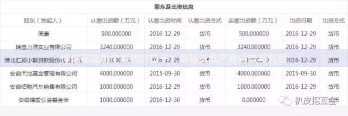 伴你花是哪个系列的口子？解析贷款产品背景与资质