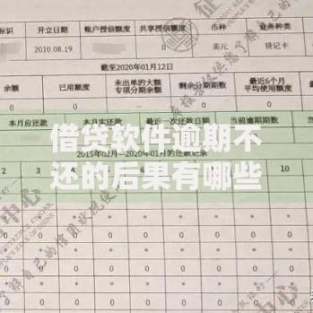 借贷软件逾期不还的后果有哪些？影响与应对策略解析