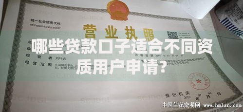 哪些贷款口子适合不同资质用户申请? 哪些贷款口子适合不同资质用户申请?