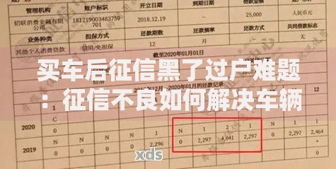 买车后征信黑了过户难题：征信不良如何解决车辆过户？