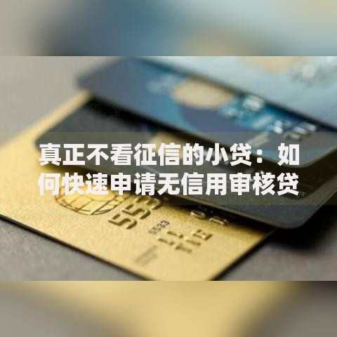 真正不看征信的小贷：如何快速申请无信用审核贷款？