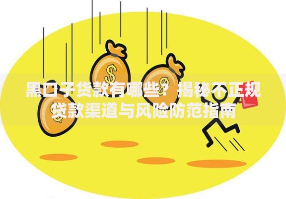 黑口子货款有哪些？揭秘不正规贷款渠道与风险防范指南