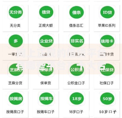 网上正规的借贷平台有哪些平台？十大合规平台深度解析