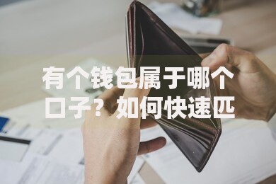 有个钱包属于哪个口子？如何快速匹配低息贷款渠道