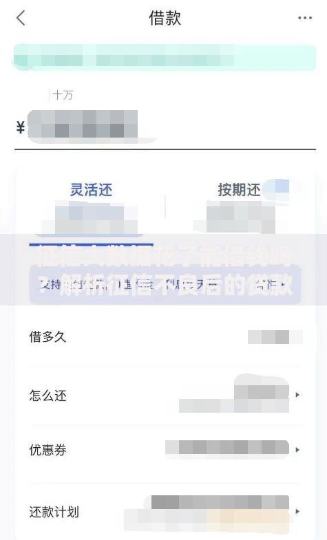 征信大数据花了能借钱吗？解析征信不良后的贷款策略