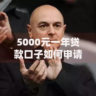 5000元一年贷款口子如何申请？低息方案全解析