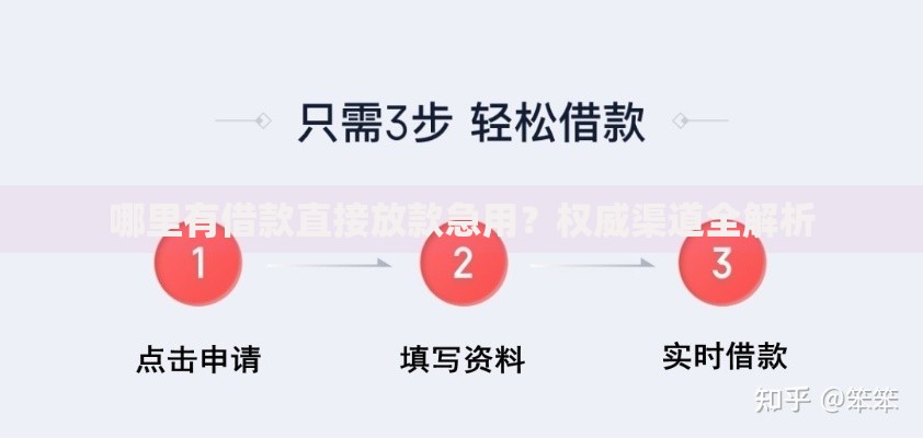 哪里有借款直接放款急用？权威渠道全解析