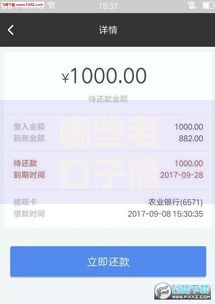 哪些老口子能下款？最新稳定下款平台深度解析