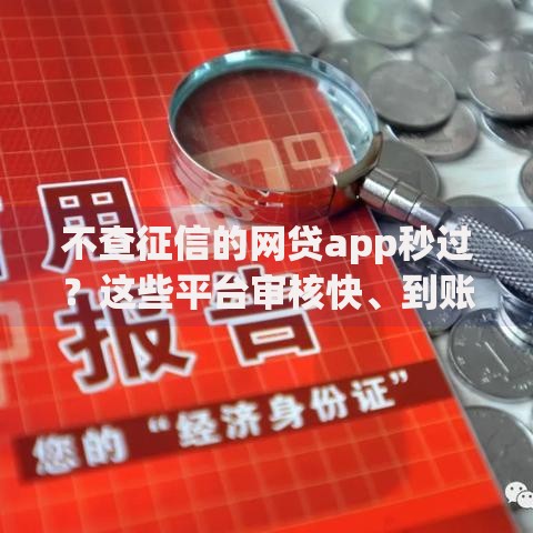 不查征信的网贷app秒过？这些平台审核快、到账快！