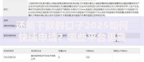 还能下款的口子2025如何快速申请？哪些平台更靠谱？
