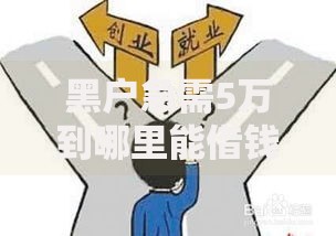 黑户急需5万到哪里能借钱？深度剖析正规渠道与风险规避