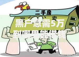 黑户急需5万到哪里能借钱？深度剖析正规渠道与风险规避