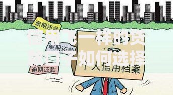 信用飞一样的贷款口子如何选择与安全申请？