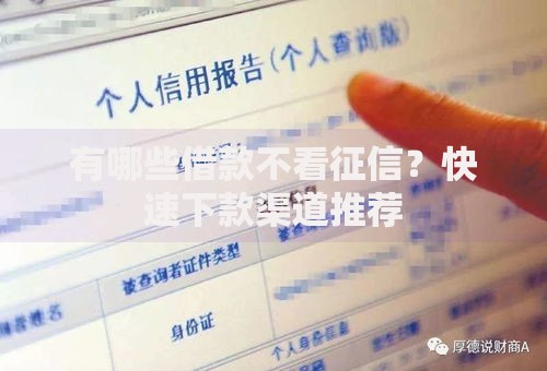 有哪些借款不看征信？快速下款渠道推荐