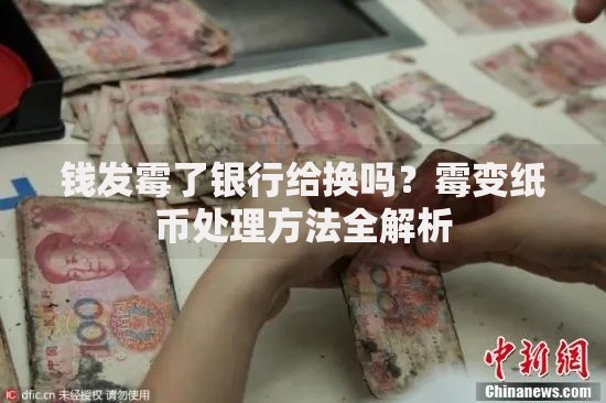 钱发霉了银行给换吗？霉变纸币处理方法全解析