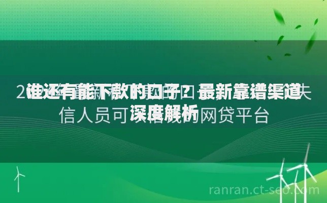 谁还有能下款的口子？最新靠谱渠道深度解析