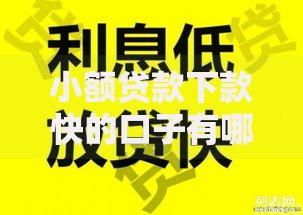 小额贷款下款快的口子有哪些渠道安全可靠
