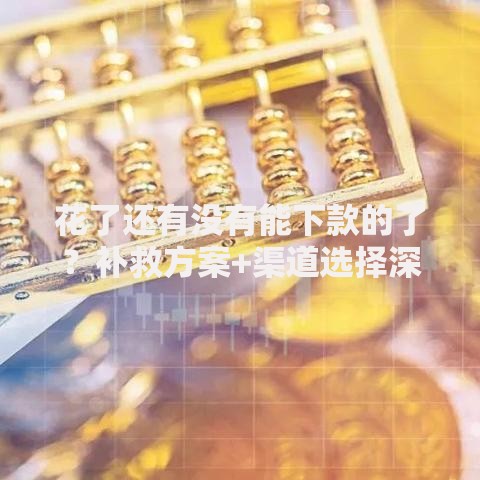 花了还有没有能下款的了？补救方案+渠道选择深度解析