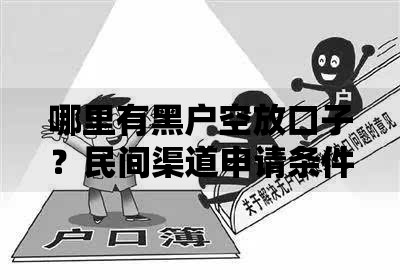 哪里有黑户空放口子？民间渠道申请条件解析