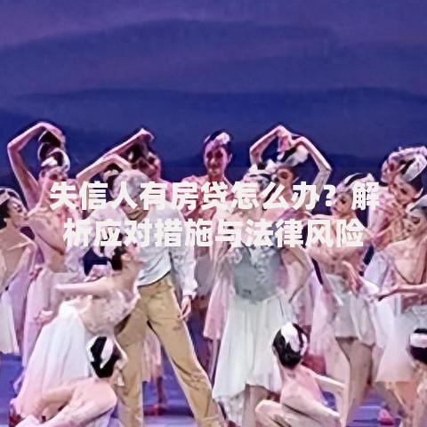 失信人有房贷怎么办？解析应对措施与法律风险