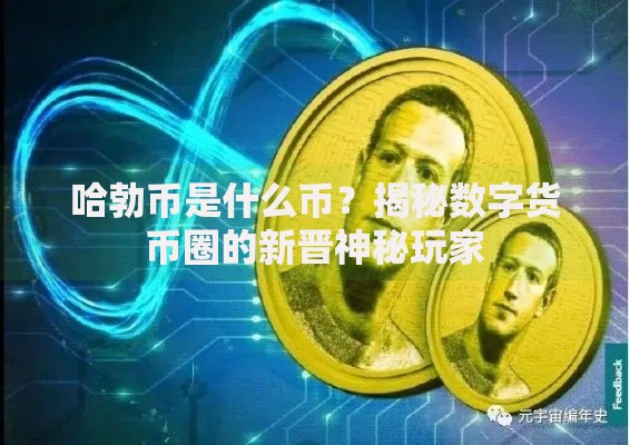哈勃币是什么币？揭秘数字货币圈的新晋神秘玩家