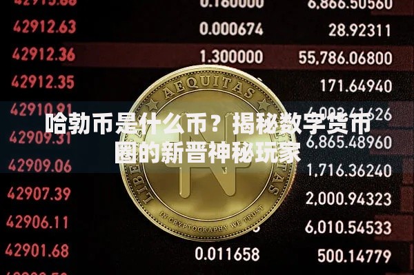 哈勃币是什么币？揭秘数字货币圈的新晋神秘玩家