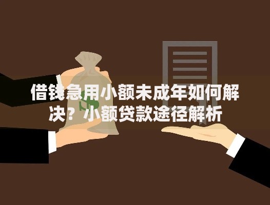 借钱急用小额未成年如何解决？小额贷款途径解析