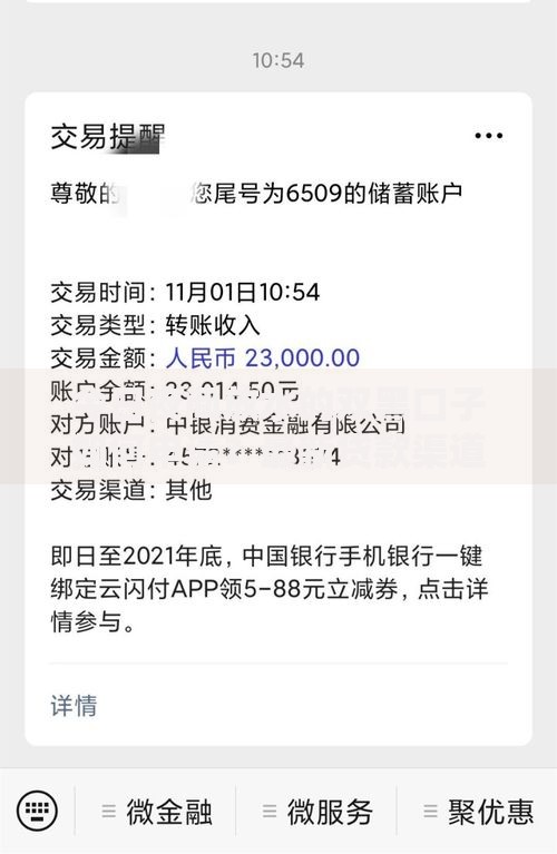 今日夜间放水的双黑口子如何申请？最新贷款渠道解析