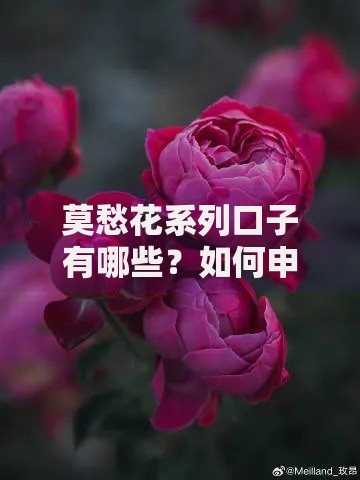 莫愁花系列口子有哪些？如何申请及靠谱性解析