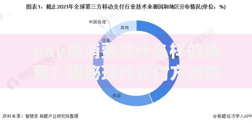 pay类消费是什么样的消费？揭秘现代支付方式的消费特征与趋势