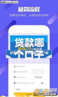 贷款哪个口子下款快？精选平台解析与申请技巧