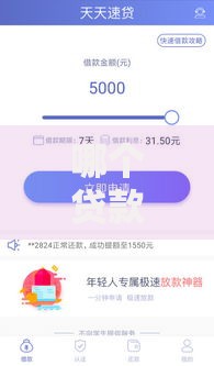 哪个贷款不看征信下款快？正规平台快速到账攻略解析