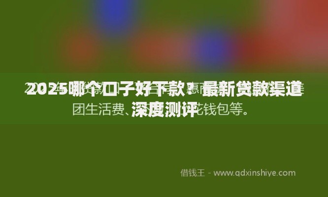 2025哪个口子好下款？最新贷款渠道深度测评