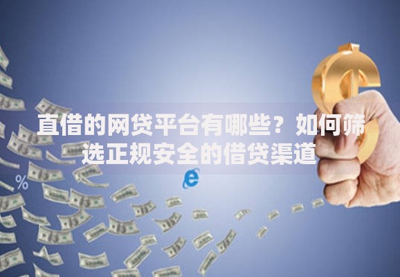 直借的网贷平台有哪些？如何筛选正规安全的借贷渠道