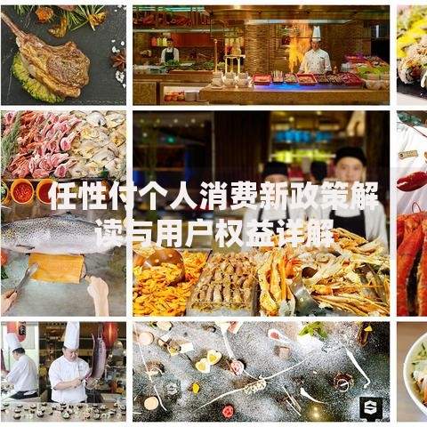 任性付个人消费新政策解读与用户权益详解