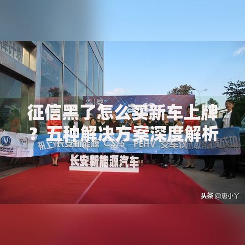 征信黑了怎么买新车上牌？五种解决方案深度解析