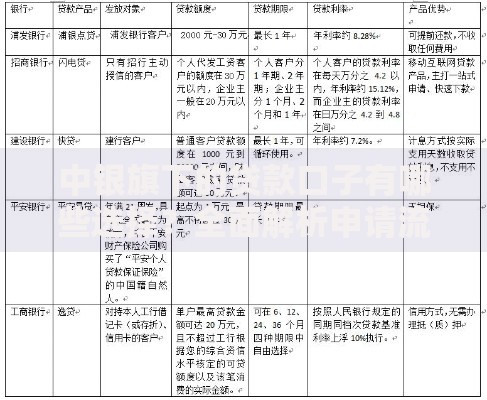 中银旗下的贷款口子有哪些选择？全面解析申请流程与条件