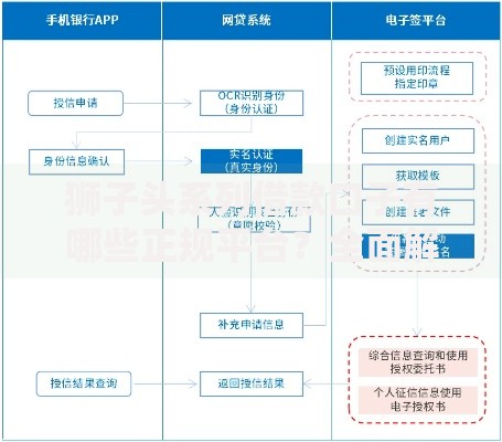 狮子头系列借款口子有哪些正规平台？全面解析借款流程与风险