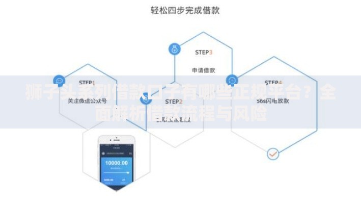 狮子头系列借款口子有哪些正规平台？全面解析借款流程与风险