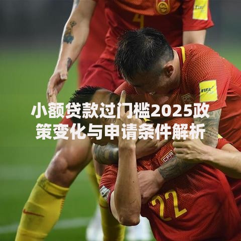 小额贷款过门槛2025政策变化与申请条件解析