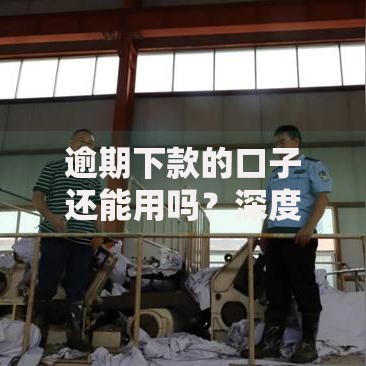 逾期下款的口子还能用吗？深度解析借贷风险与应对方案
