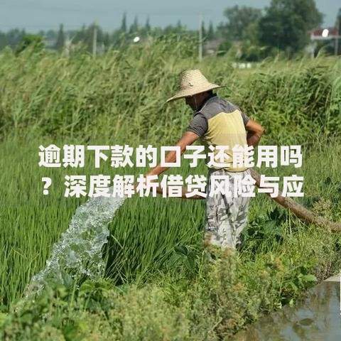 逾期下款的口子还能用吗？深度解析借贷风险与应对方案
