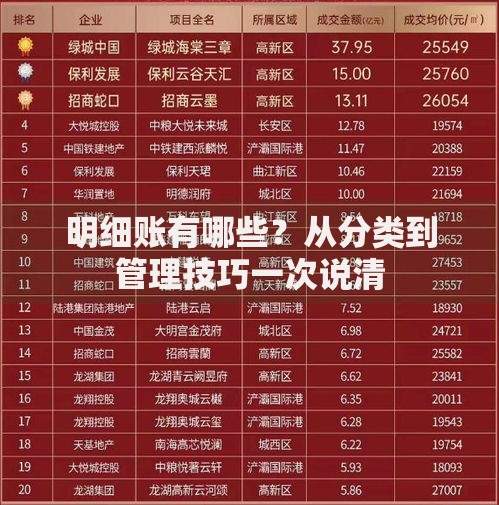 明细账有哪些？从分类到管理技巧一次说清