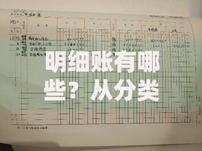明细账有哪些？从分类到管理技巧一次说清