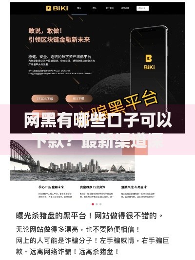 网黑有哪些口子可以下款？最新渠道深度解析