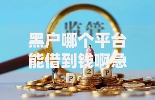 黑户哪个平台能借到钱啊急用？合规渠道与风险解析